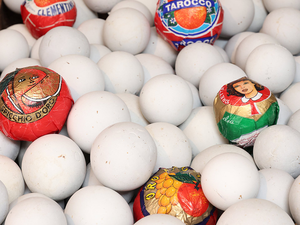 Wrapped Up in Time at MDW'25